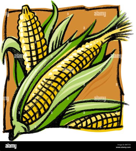 Corn Drawing Hi Res Stock Photography And Images Alamy