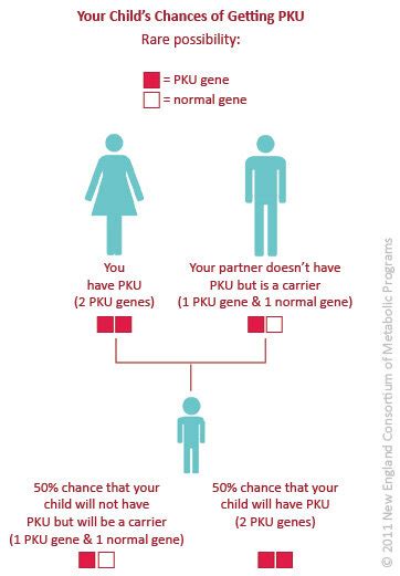 Pku And Genetics — New England Consortium Of Metabolic Programs