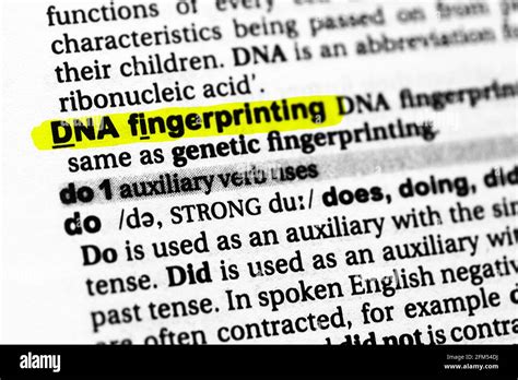 Highlighted Word Dna Fingerprinting Concept And Meaning Stock Photo Alamy