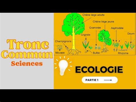 Les Techniques adaptatives à l étude écologique sur le terrain SVT