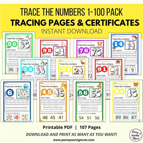 Trace The Numbers 1 100 Activity Pack Digital Printable Etsy