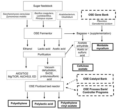 Bioplastics Diagram