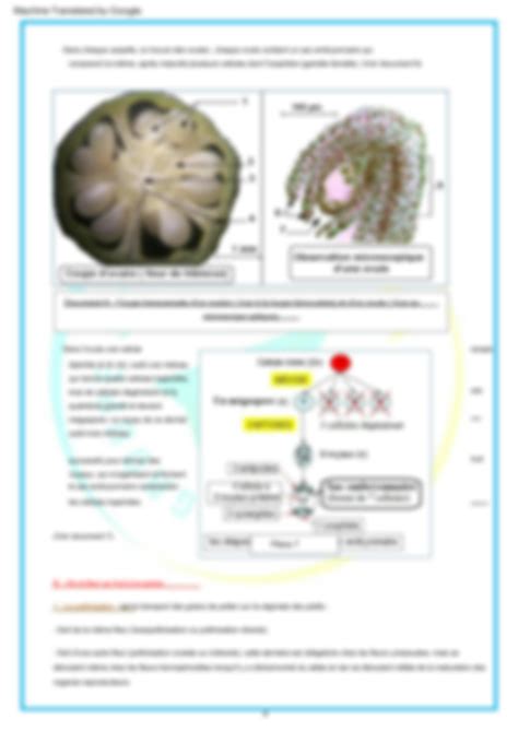 SOLUTION Cours Svt La Reproduction Chez Les Angiospermes 1 Studypool