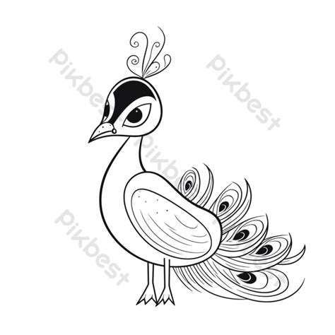 Outline Sketch Cute Peacock Drawing On White Background Vector Png