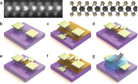 A Atomic‐resolution Tem Image Of Monolayer Wse2 245 Nm × 073 Nm