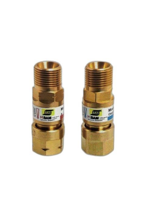 Brass Esab Frt G Flashback Arrestor At Rs Piece In New Delhi