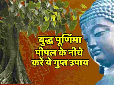 Buddha Purnima 2023 Do This Secret Remedy On Vaisakh Purnima For Money Problems Buddha Purnima