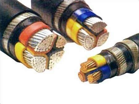 PTFE Insulated RTD Cable At Best Price In Meerut By Parag Ptfe Wires