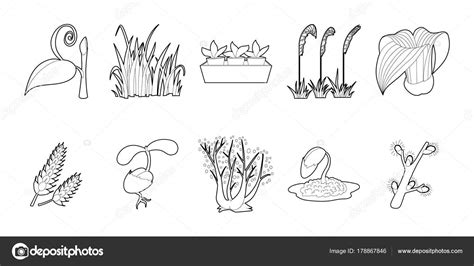 Plant icon set, outline style Stock Vector by ©ylivdesign 178867846