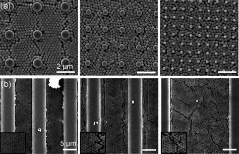 Exploring Hierarchical Colloidal Assembly Direct Colloidal Assembly Of