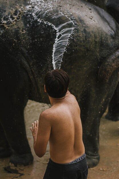 Vista Trasera De Un Hombre Sin Camisa Lavando Un Elefante Con Una