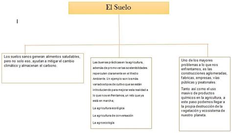 Elabore con sustento científico una infografía sobre el suelo y dónde