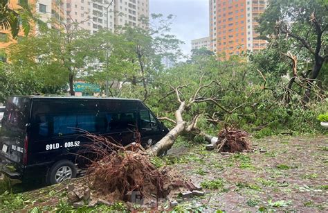 Hà Nội Tan Hoang Sau Khi Bão Số 3 Quét Qua