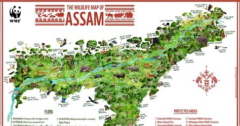 Green Humour: Biodiversity Map of Assam