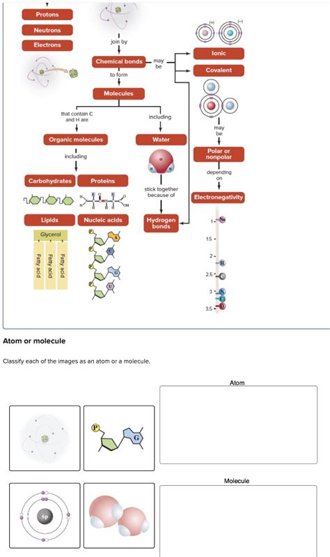 Solved Classify Each Of The Images As An Atom Or A Molecule Chegg