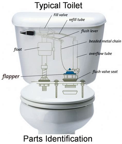 How To Fix A Toilet Water Fill Valve Replacement Diy Fill Valve Leaking Toilet Toilet Fill