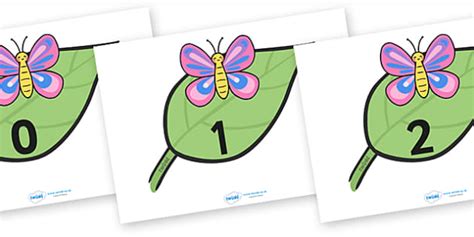 Numbers 0 20 On Butterflies Teacher Made Twinkl