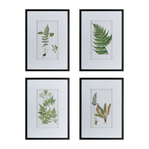 Botanical Fern Wall Art Set Fern Wall Art Framed Wall Art Sets