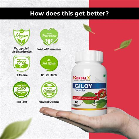 Herbalx Giloy Guduchi Immunity Booster Healthy Digestion Blood