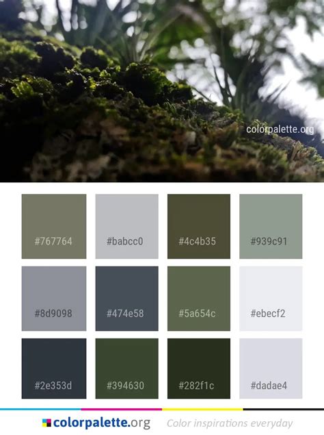 Moss Color Palette ideas | colorpalette.org