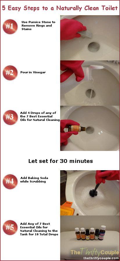 5 Steps To A Naturally Clean Toilet The Thrifty Couple Recipe Toilet Cleaning Cleaning