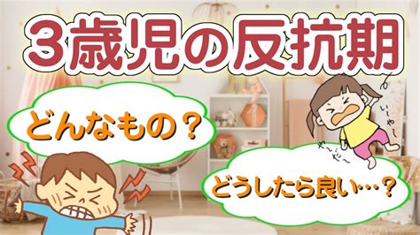 【徹底解説】3歳児の反抗期ってどんなもの？どうしたら良い？ Youtube