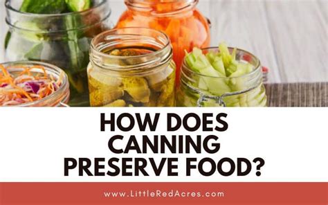 From Garden To Jar How Does Canning Preserve Food