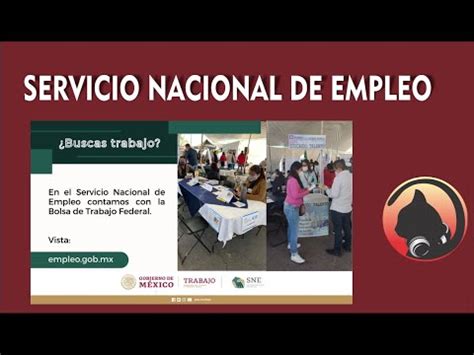 Sne Servicio Nacional De Empleo Youtube