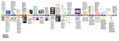 Línea De Tiempo Evolución De La Genética Con Sus Años 1902 Archibald