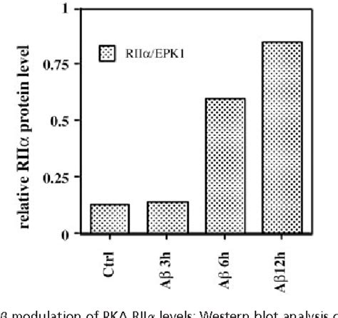 PDF Amyloid β peptide inhibition of the PKA CREB pathway and long