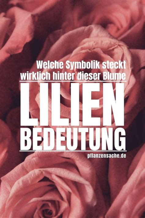 Lilien Bedeutung Welche Symbolik Steckt Wirklich Hinter Dieser Blume