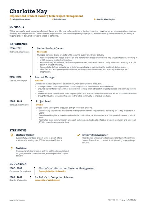 5 Product Owner Resume Examples And Guide For 2024