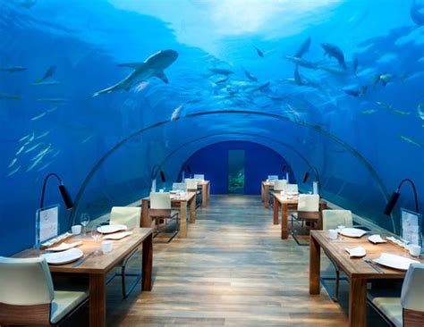 Stay With Sharks In These Underwater Hotels Around The World