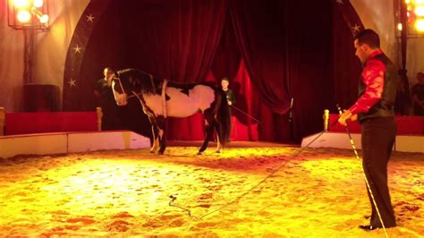Cirque WILLIE ZAVATTA le 2012/12/02 à JOUE LES TOURS - YouTube