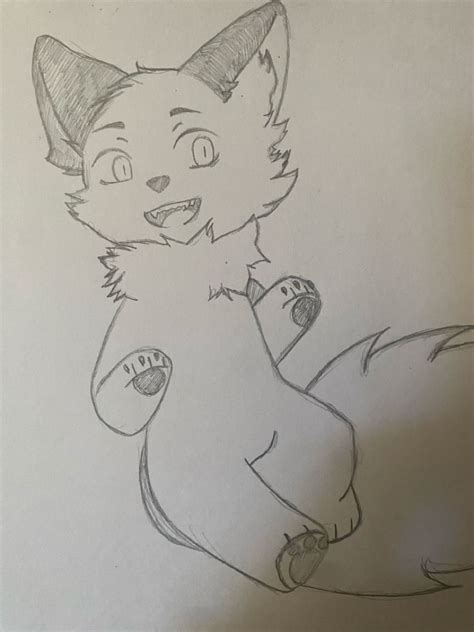 fox base drawing cute fox base animal drawings furry drawing