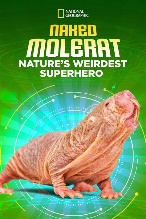 Naked Molerat Natures Weirdest Superhero Pel Cula Tr Iler