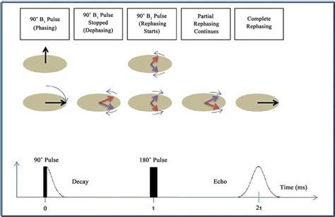 Rephasing Process Through Applying The Pulse Pulse And The