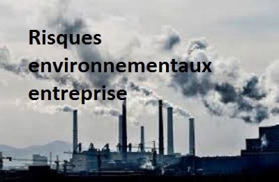 Gérer Les Risques Environnementaux Dans Votre Entreprise QE