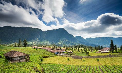 Von Bali Aus Mount Bromo Und Blaues Feuer Ijen Krater Tages Tour