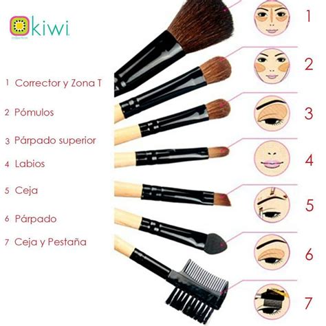 Cada Brocha Para Cada Uso Makeup Brushes Guide Easy Makeup Tutorial