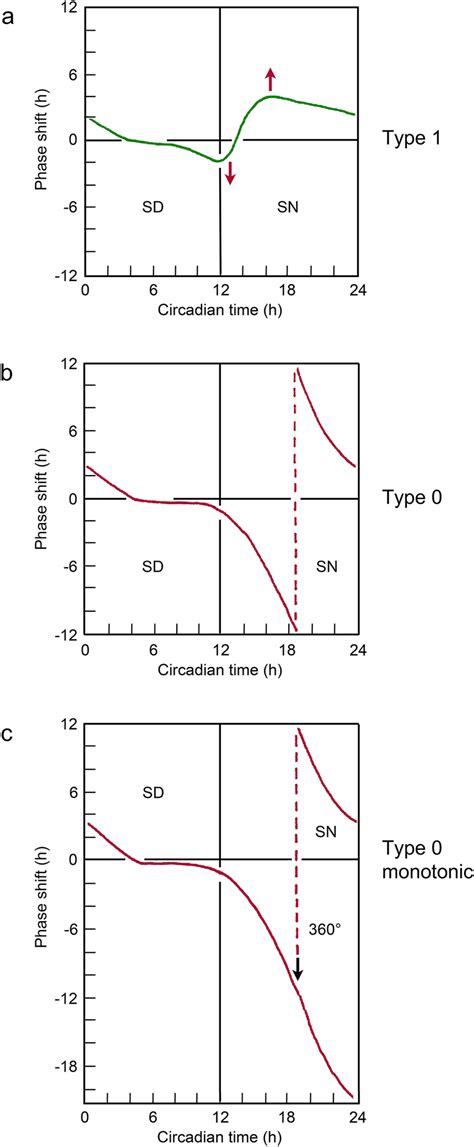 Phase Response Curves Prcs And Entrainment Schematic Each Panel