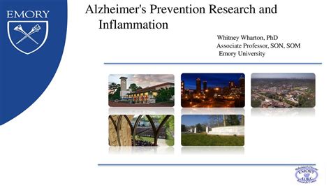 Alzheimers Prevention Research And Ppt Download