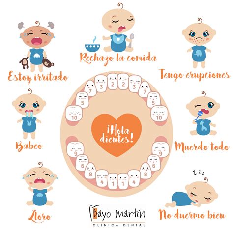 Proceso Denticion Infantil Cl Nica Dental Bayo Martin