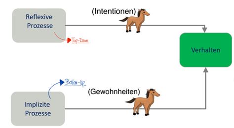 VL 7 Implizite Prozesse Karteikarten Quizlet