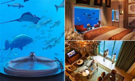 Heres What The Atlantis Dubais Luxury Underwater Suites Look Like