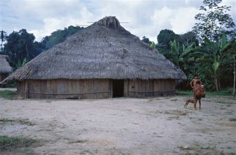 Culturas Indígenas Tipos De Habitações Indígenas