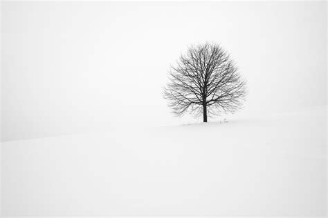 Minimalist Winter Wallpaper - High Definition, High Resolution HD Wallpapers : High Definition ...