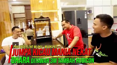 Sultan Mah Bebas Ohara Ditawar M Tambah Rubicon Youtube