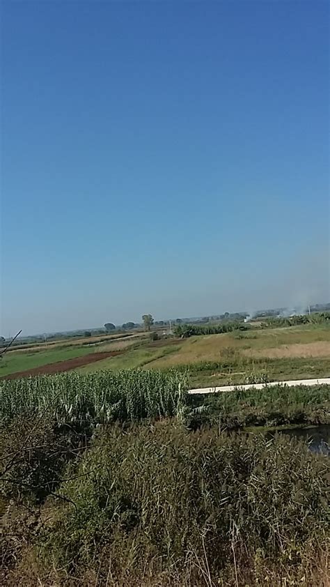 Pontinia Ecologia E Territorio Zona Sic Zps Dei Gricilli Laghi Del