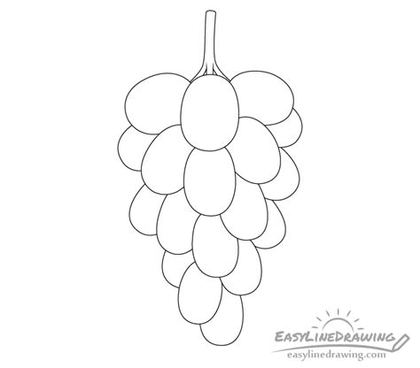 How To Draw Grapes Step By Step Easylinedrawing